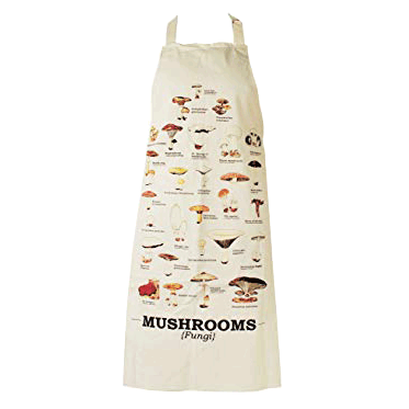 首爾蘑菇筆記 Spore-adic Notes for Seoul