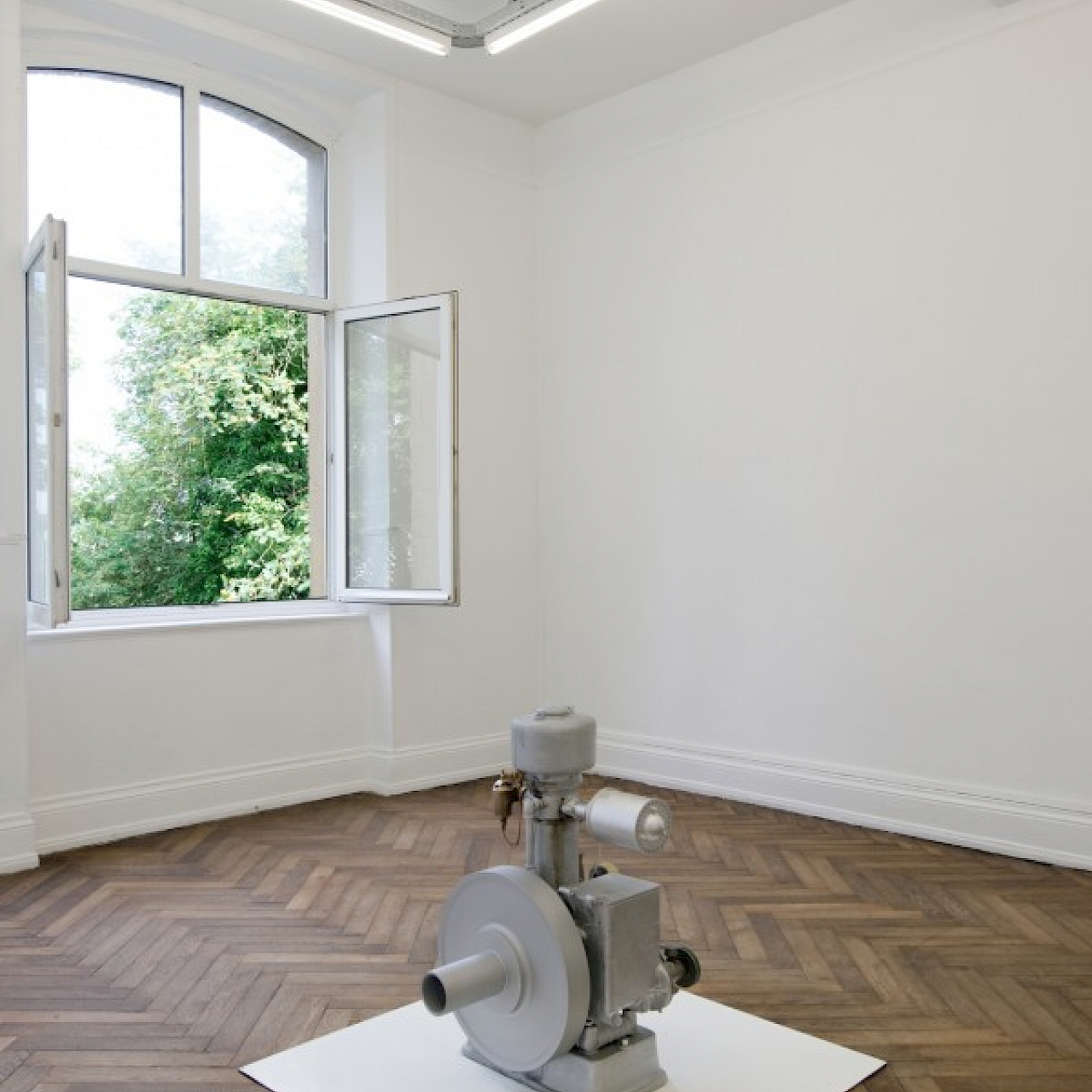 Good luck with your natural, combined, attractive and truthful attempts in two exhibitions