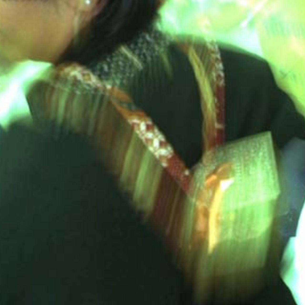 Scapular Gallery Nomad : “A Small Art Gallery Resting on my Shoulders”